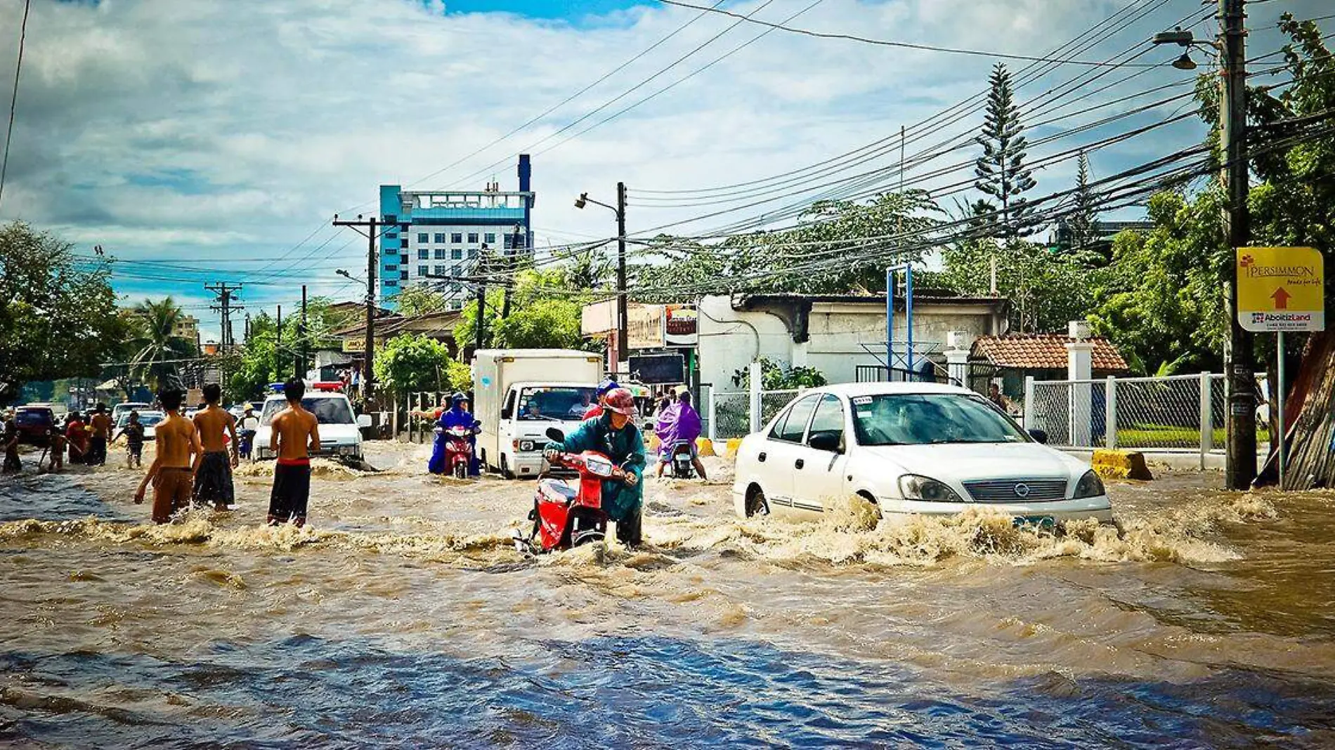 Con el paso de los años, el cambio climático ha cobrado factura de las acciones del hombre que han dañado al medio ambiente